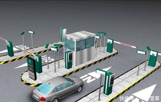 駕照考試再升級 科目二新項(xiàng)目引熱議，老司機(jī)亦嘆不易